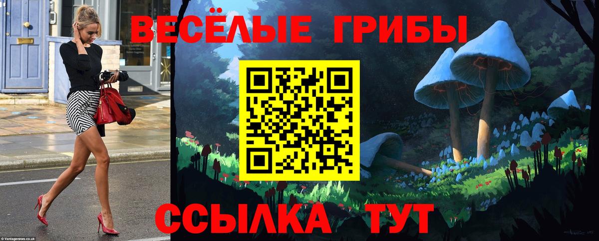 Псилоцибиновые грибы Psilocybe Лесной
